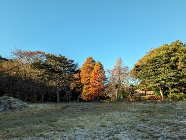 1-1-PXL_20231120_230855455.jpg