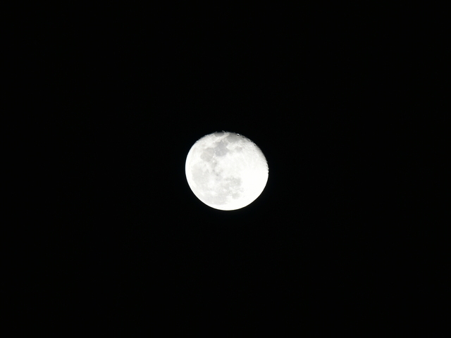 1-DSC_9944.JPG